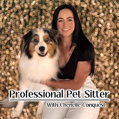 27. Can You Make Real Money Dog Walking?
