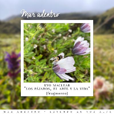 09. Leyendo a Kyo Maclear II