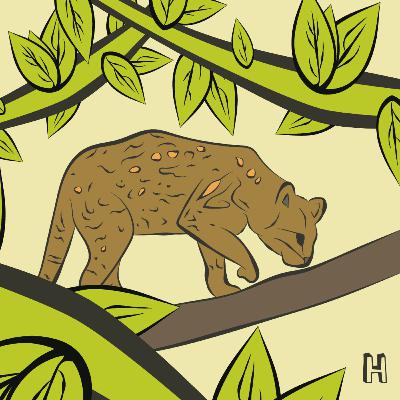 #9 - Tica, a jaguatirica de botas