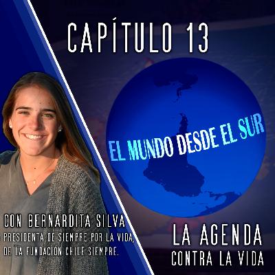 EL MUNDO DESDE EL SUR - La agenda contra la vida: el aborto