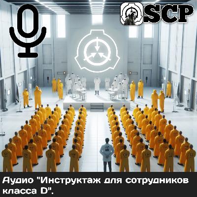 Аудио "Инструктаж для сотрудников класса D".
