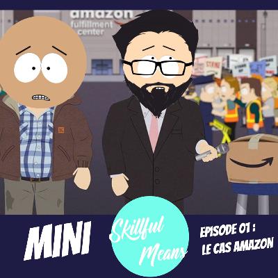 Mini Skillful Means 1/5 : le cas Amazon