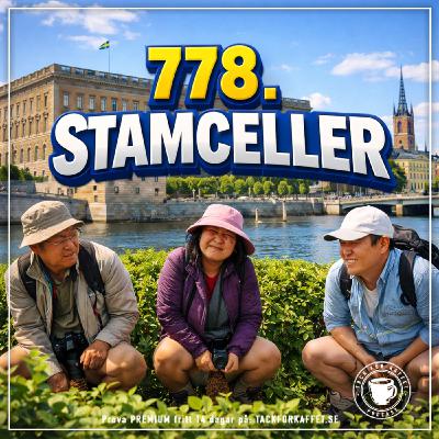 778. Stamceller. 778. Stamceller.