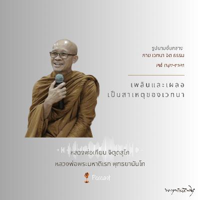 เพลินและเผลอเป็นสาเหตุของเวทนา เพลินและเผลอเป็นสาเหตุของเวทนา