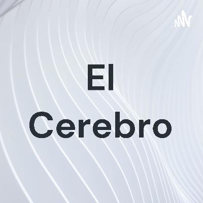 Podcast cerebro