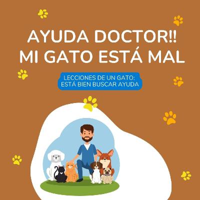 16- Lecciones de un gato: Parte 2- Está bien buscar ayuda 16- Lecciones de un gato: Parte 2- Está bien buscar ayuda