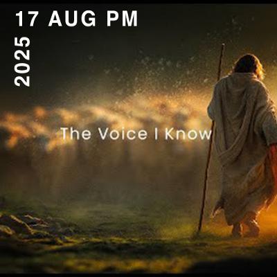 The voice I know. The voice I know.