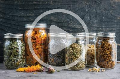 Herbs for Sleep, Stress, and Sobriety