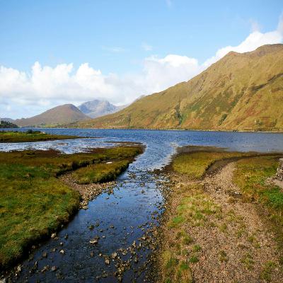 Ireland’s natural environment in a “poor state”