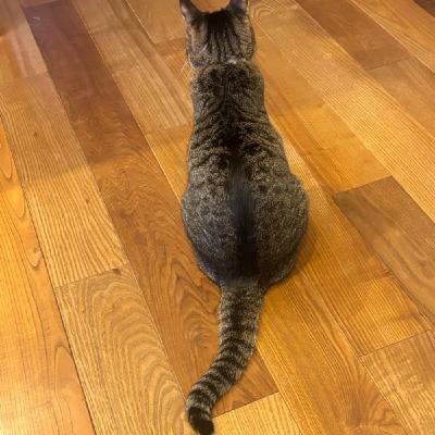 投げやりとか諦めではなくて、コントロールを手放す感覚＝ケセラセラ