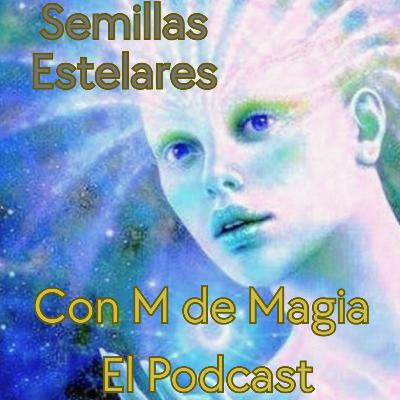 Semillas de Luz