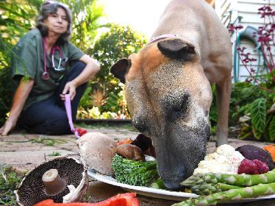 Dr Malina Fielder on Pet Nutrition