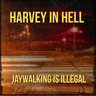 14. Jaywalking is Illegal 14. Jaywalking is Illegal