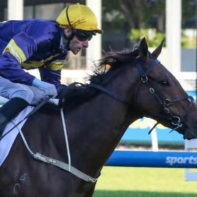 Episode 114 - Doomben Cup Day