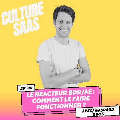 Le réacteur BDR/AE : comment le faire fonctionner ?