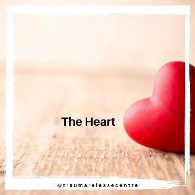 The Heart