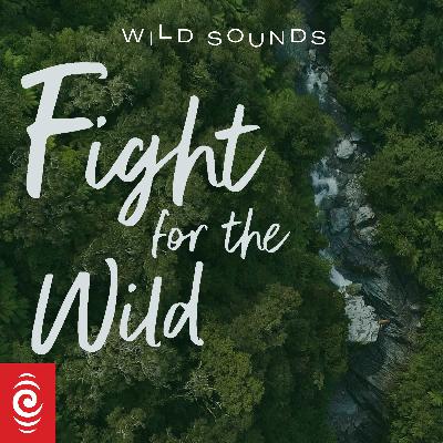 Fight for the Wild 02 | Remove and protect