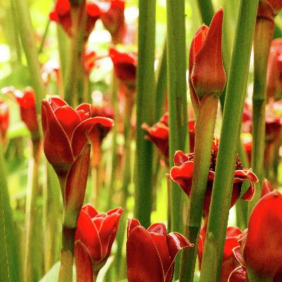 How to Foster True Friendships How to Foster True Friendships