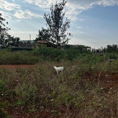 ちょっとずつできることから