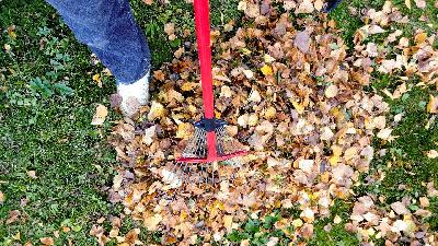 Leaf Pick-Up, Construction & More Leaf Pick-Up, Construction & More