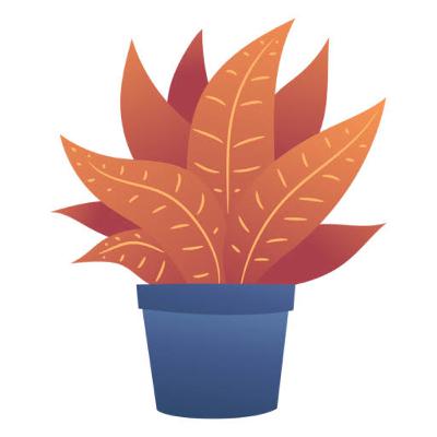Capitulo 2 Planta Vapurrup