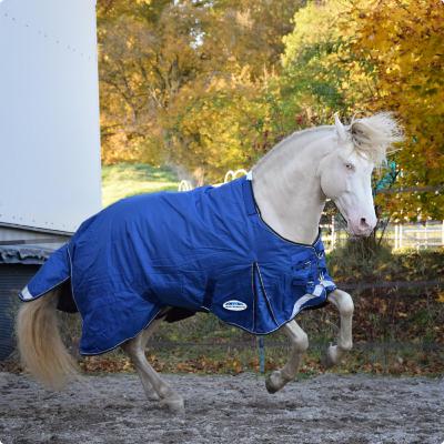 #83 Eindecken #83 Eindecken