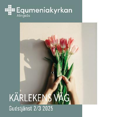 250302 - Kärlekens väg - Peter Lindroos