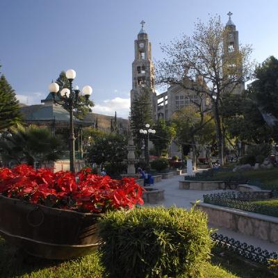 Homenaje a Rius y memorias de Chilapa