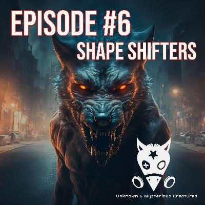 6. Shape Shifters (Part 1)