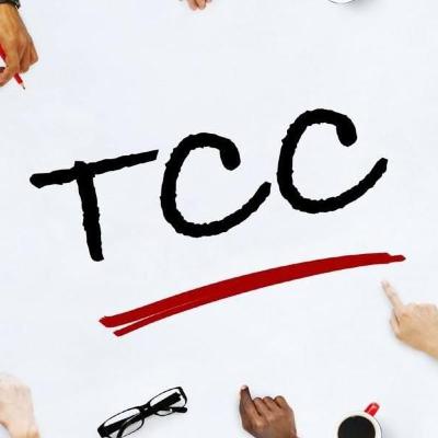 38. A importância dos TCCs para educação universitária: uma entrevista com Janaína Baladão, professora do curso de Trabalho de Conclusão de Curso da PUCRS