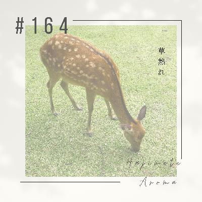 第１６４話 / 草熱れ