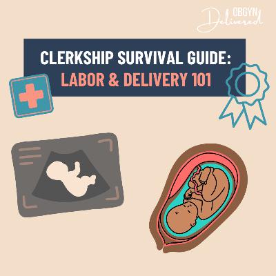 OBGYN Clerkship Survival Guide: Labor & Delivery OBGYN Clerkship Survival Guide: Labor & Delivery
