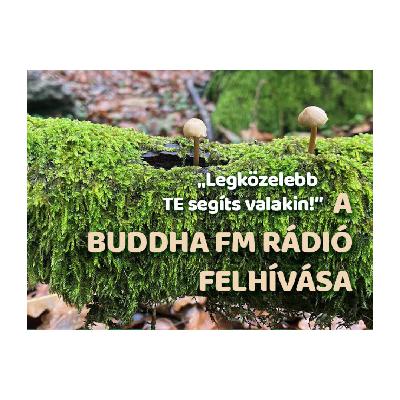 Legközelebb te segíts valakin! - Sárát Nagymarosról kérdezi Bende Zsuzsanna