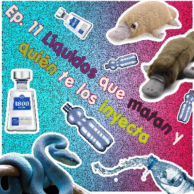 Líquidos que matan y quién te los inyecta