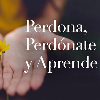Perdona no sabes cuándo es la última vez!