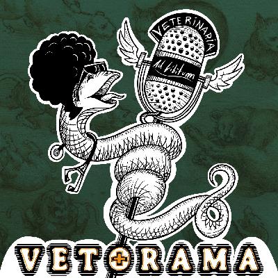 VETORAMA Ep3-Programa completo