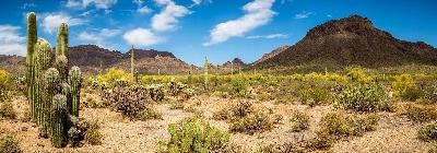 Land Stories Live --- Season 2, Episode 6! Listen Along and Customer Jake Rodio Tells us About His Land Buying Experience