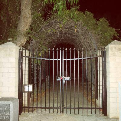 Dark Die-mention Yorba Linda's Pink Lady Dark Die-mention Yorba Linda's Pink Lady