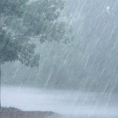 I Know Better I Know Better