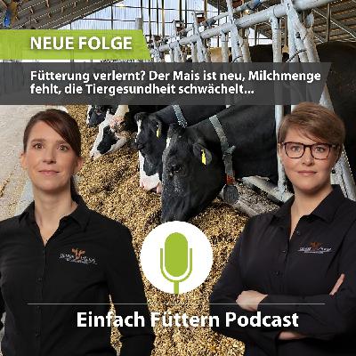 EFP 100 Fütterung verlernt? Der Mais ist neu, Milchmenge fehlt, die Tiergesundheit schwächelt...