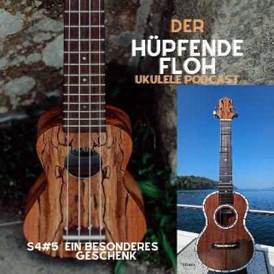 S4#5 Ein besonderes Geschenk S4#5 Ein besonderes Geschenk