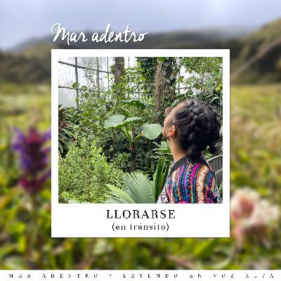 03. Llorarse (en tránsito)