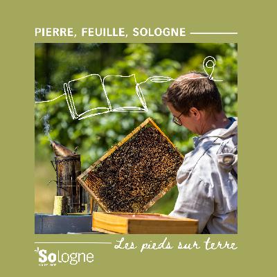 Episode 2 - Les pieds sur terre