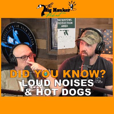 🚨 DID YOU KNOW? 🚨Loud Noises & Hotdogs