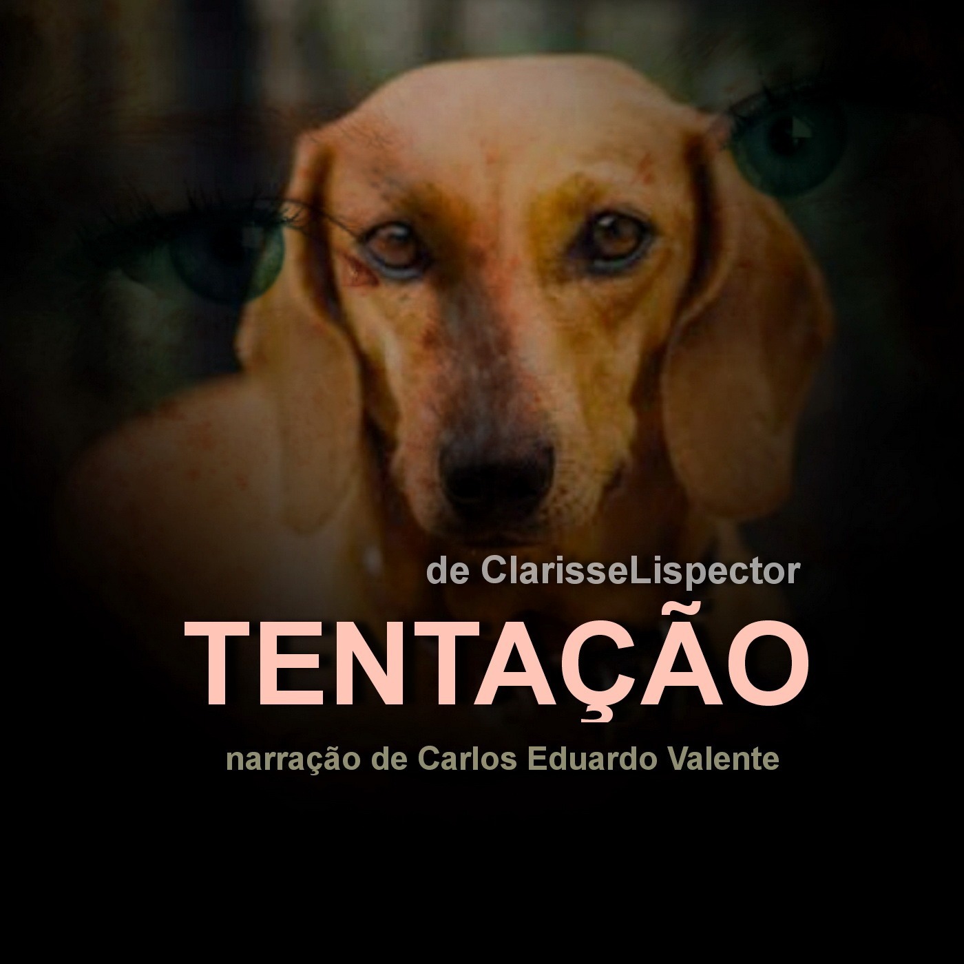 AUDIOBOOKS Livros Contos Poemas