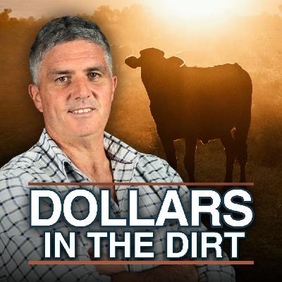 #009 - I Audited 100 Farm Loans. 92 of Them Were Making This One Mistake.
