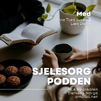 1. En introduksjon til en ny podkastserie