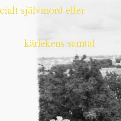 missunnsamhet eller sveriges ledande semiotext(e)-expert