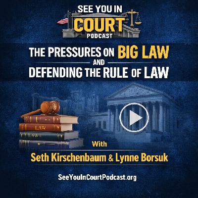Big Law, Pressure, and the Choice to Stand for the Rule of Law Big Law, Pressure, and the Choice to Stand for the Rule of Law