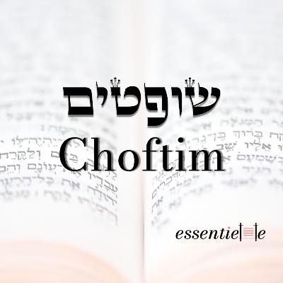 5785- Choftim - La torah nous rend-elle meilleurs ? 5785- Choftim - La torah nous rend-elle meilleurs ?